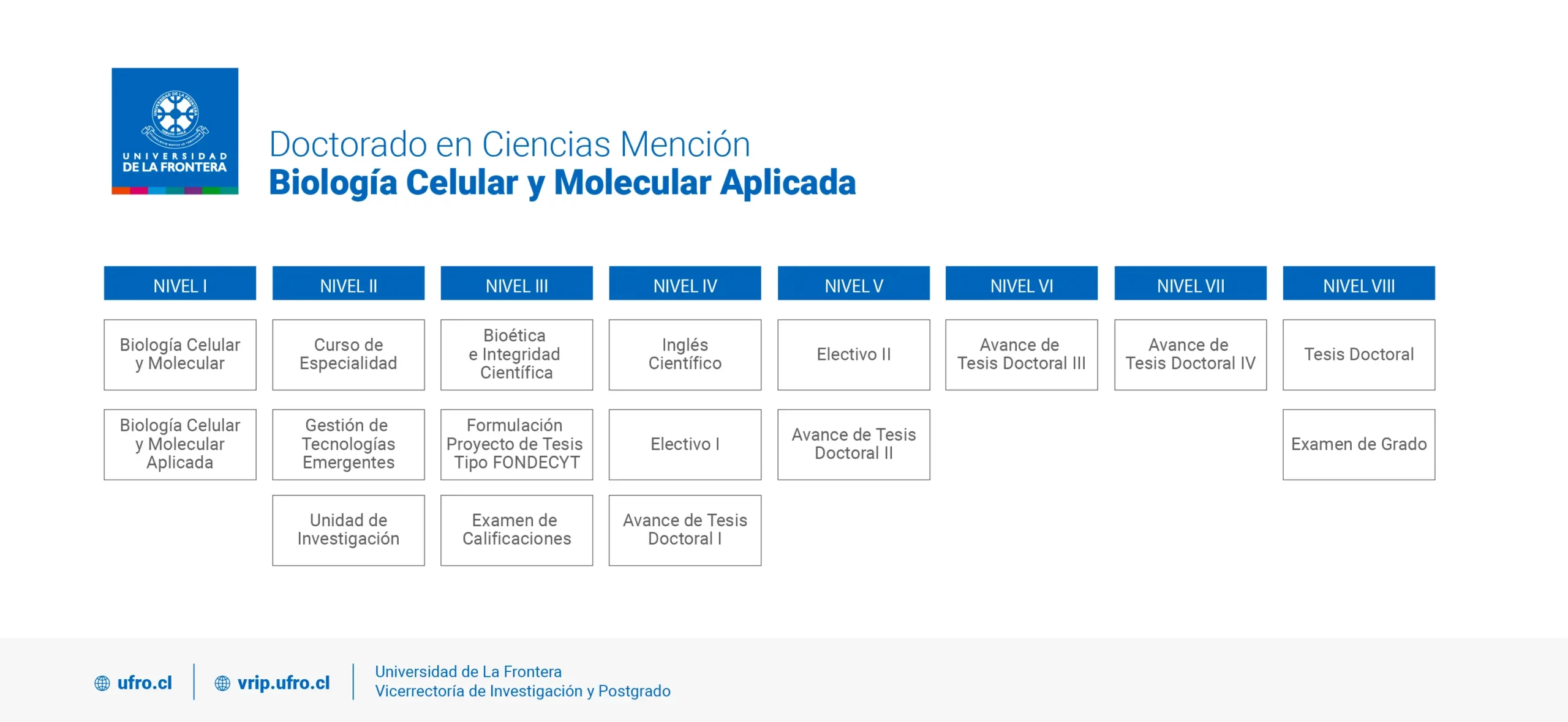 Doctorado en Ciencias mención Biología Celular y Molecular Aplicada